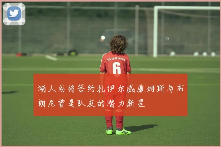 湖人或将签约扎伊尔威廉姆斯与布朗尼曾是队友的潜力新星